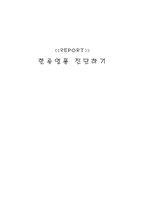 [매스컴] 한류열풍에 관하여-6
