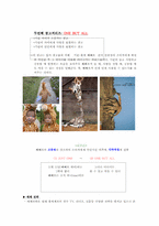 [광고기획안] 롯데빼빼로 광고기획안-11