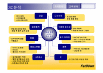[마케팅] cj 기능성음료 팻다운 광고전략-12