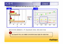[마케팅] cj 기능성음료 팻다운 광고전략-13