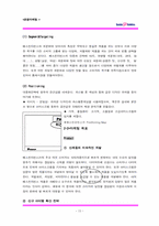 [마케팅] 아이스크림전문점 베스킨라빈스31 마케팅-15