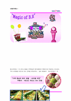 [마케팅] 아이스크림전문점 베스킨라빈스31 마케팅-19