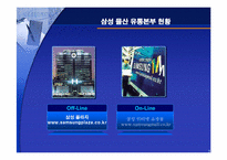 [유통기관경영론] 삼성몰과 삼성플라자의 온오프 시너지전략-3