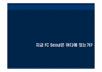 [스포츠마케팅관리] FC Seoul 마케팅-5
