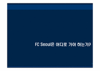 [스포츠마케팅관리] FC Seoul 마케팅-14