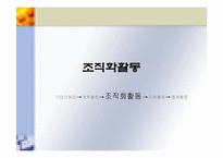 [기업경영] 조직화활동-1