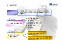 [인적자원관리] SKT 보상관리-17