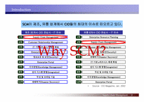 [공급사슬관리] 롯데마트 SCM 도입사례-3