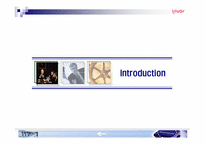 [경영정보시스템] 레인콤의 MIS 수준평가 -MP3플레이어와 Digital Convergence-3