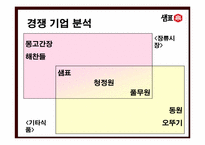 [마케팅전략] 샘표 브랜드전략-12
