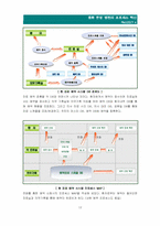 [프로세스공학] 중화한방병원의 프로세스혁신 및 신제품개발-12