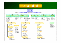 [인적자원관리] LG텔레콤 성과평가 및 보상-4