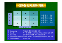 [인적자원관리] LG텔레콤 성과평가 및 보상-8