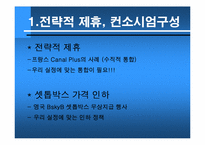 [텔레커뮤니케이션] T-commerce 정착 저해 요소와 그 해결책-18