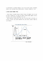 [국제경영] 엔씨소프트의 해외진출사례분석-4