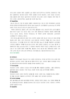 [전략경영] 나뚜루 경영전략-9