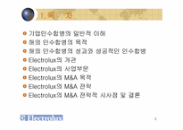 해외인수합병(일렉트로녹스)-2