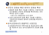 해외인수합병(일렉트로녹스)-6