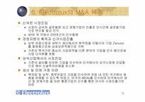 해외인수합병(일렉트로녹스)-15