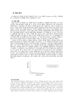 [생산운영관리] 효율적 재고관리를 통한 비용절감 - 신촌지역의 음식점을 중심으로-14