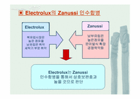 [기업인수합병] Electrolux 해외인수합병-12
