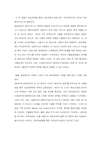 [국제경영] 초코파이 해외진출사례-8