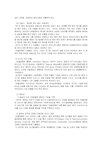 SK텔레콤 중국시장진출사례-13