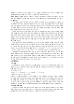 [수출마케팅] 이랜드전략과 성공요인-7