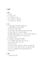 [텔레커뮤니케이션] T-commerce의 국내 정착을 저해하는 요소와 그에 대한 해결책-2