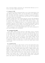[텔레커뮤니케이션] T-commerce의 국내 정착을 저해하는 요소와 그에 대한 해결책-4