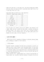 [마케팅] 온라인게임 엔씨소프트 `리니지2` 마케팅전략-12