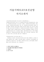 서울메트로9호선운영자소서 서울메트로9호선운영자기소개서 합격자기소개서+면접/자소서서울시메트로9호선운영면접,서울메트로 9호선운영 인턴-1