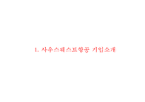 [사우스웨스트 마케팅 PPT] 사우스웨스트항공 성공비결과 마케팅 SWOT,STP,4P전략분석및 사우스웨스트항공 서비스,경영전략과 향후전망-3