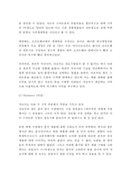 [샤오미 마케팅사례 보고서] 샤오미 기업분석,SWOT분석과 샤오미 마케팅 4P,포지셔닝 전략분석및 미래전략제언과 나의의견-6