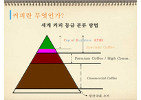 [바리스타] 커피의 모든 것 - 1-12