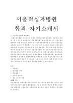 서울적십자병원간호사자기소개서 서울적십자병원자소서자기소개서+면접+간호사1분자기소개/간호사자소서자기소개서/적십자병원면접+적십자병원간호사자소서-1