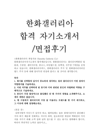 한화갤러리아백화점자기소개서 합격자소서/면접 한화갤러리아 백화점 MD 자소서, 한화갤러리아 영업 자기소개서, 한화갤러리아 마케팅 자소서, 지원동기-1