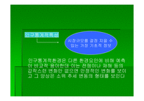 조사의 전체적 이해 문제의 규명-17