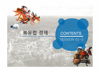 북유럽국가, 아시아권 이슬람국가정치,경제,문화 특성-20