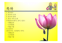 불교,佛敎, Buddhism,문화권 국가들의 특성-2
