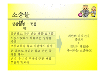 불교,佛敎, Buddhism,문화권 국가들의 특성-14