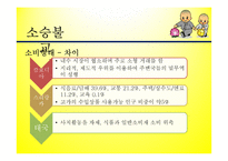 불교,佛敎, Buddhism,문화권 국가들의 특성-16