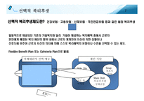 선택적 복리후생 제도 및 사례분석-7