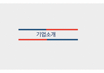 아모레퍼시픽 vs LG생활건강 경영분석-3