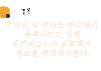 위키리크스 어산지와 진실보도-17