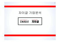 자이글 기업분석-1