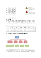 마케팅전략 레포트-5