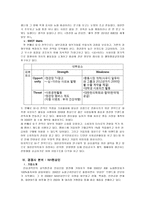 마케팅전략 레포트-11