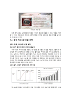 카페믹스의 전략적 분석 및 지속적 성장을 위한 마케팅 전략 제안-15