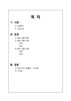 국가진출 전략 비교-2